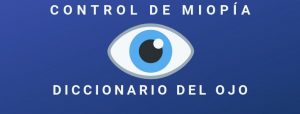 DICCIONARIO 2 Diccionario visual del ojo